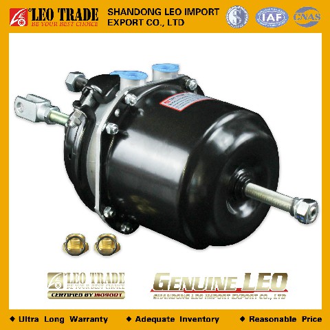 Энергоаккумулятор задний с коротким штоком отвестие-16мм&22mmWG9100360001-16/01-22LEO