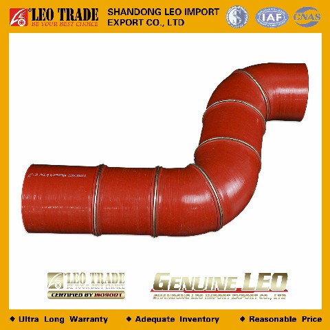 Патрубок интеркулера WP10 Z- образный DZ95259535815 LEO