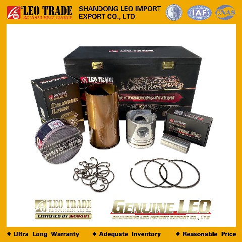 Поршневая группа WP12 LEO