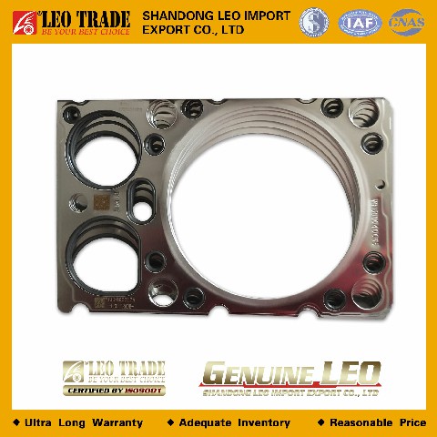 Прокладка головки цилиндра VG1540040015A LEO