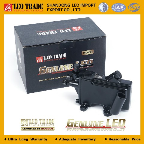 Насос подьема кабины 199100820025 LEO