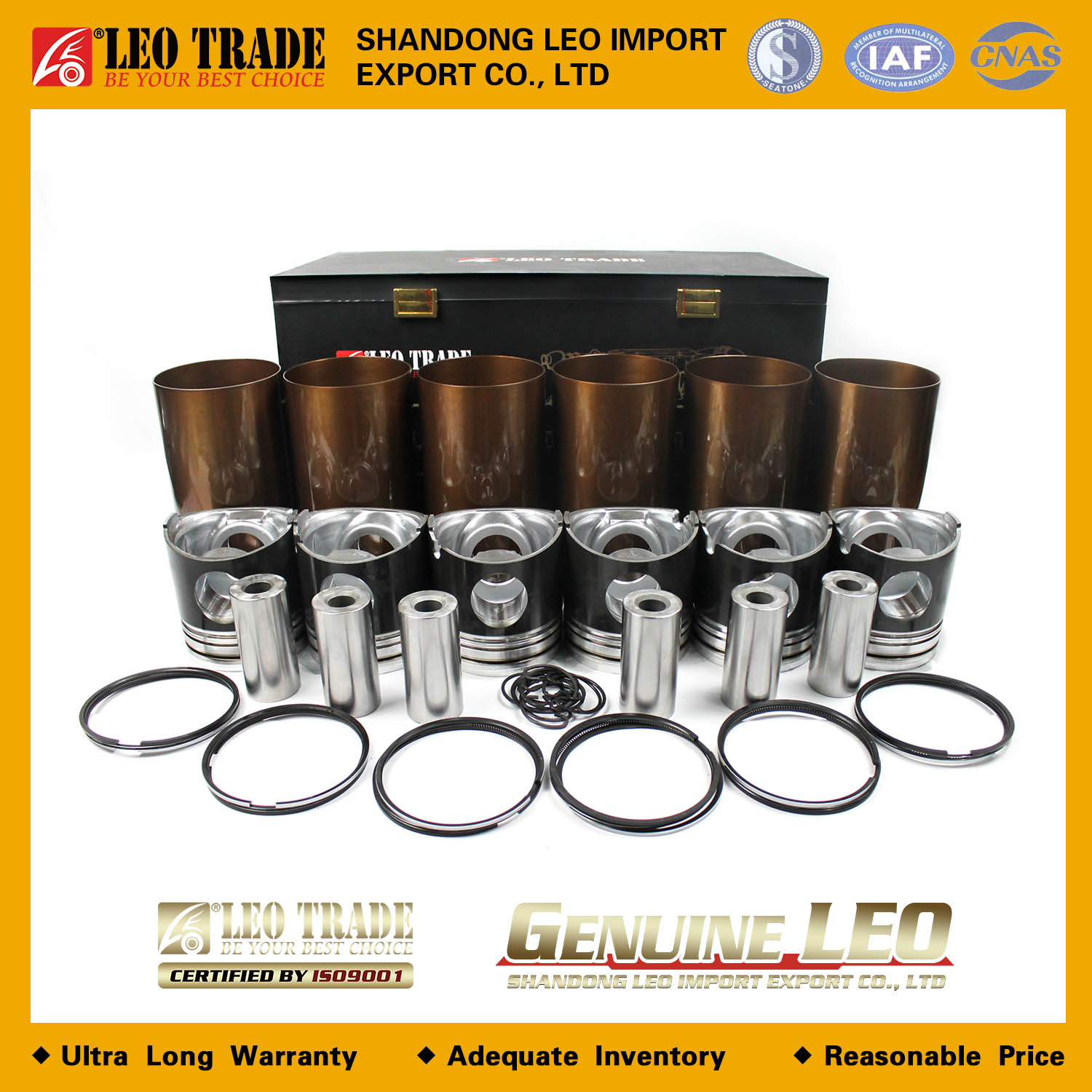 Поршневая группа WD618 LEO