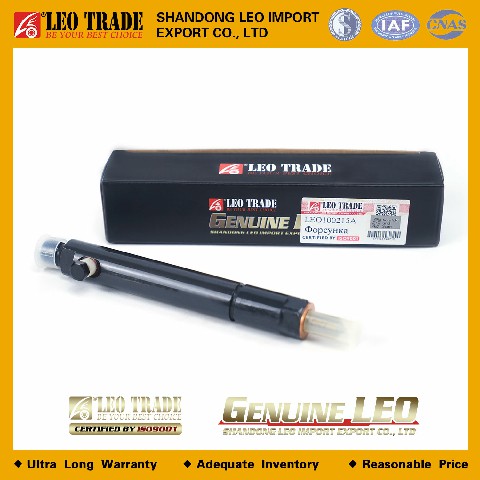 Форсунка VG1560080276 LEO