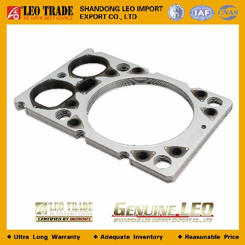 Прокладка головки цилиндра VG1500040049/61500040355 LEO