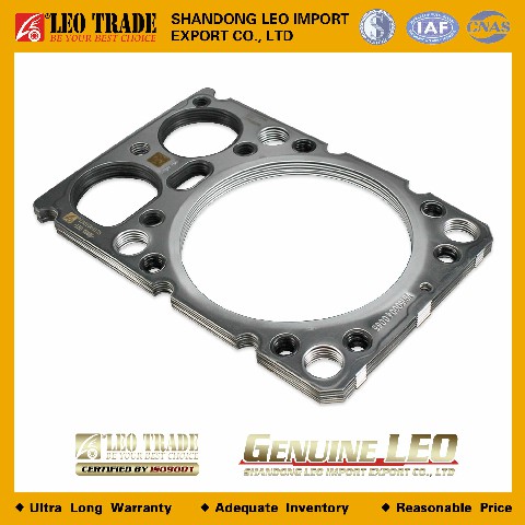 Прокладка головки цилиндра VG1500040065 LEO