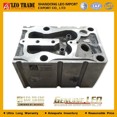 Головка блока цилиндра 161560040058 LEO