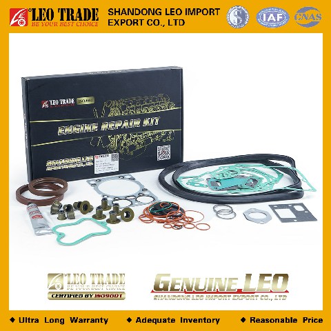 Рем.комплект ДВС евро-2 полный WD615.69 LEO