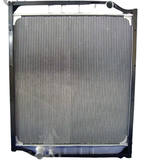 Радиатор F3000 DZ95259532203