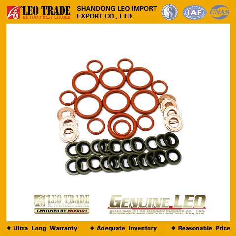 Ремкомплект форсунки VG9003080002+VG1540080095+VG1540080018A+VG1540080019B LEO