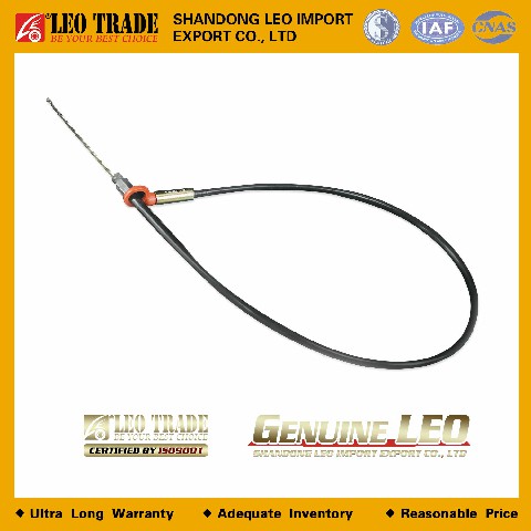 Масляный щуп 612600013139 LEO