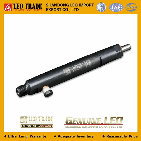 Форсунка VG1560080305 LEO