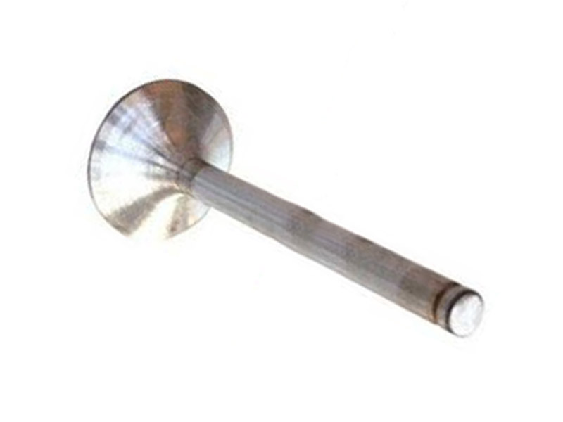 Клапана впускные WD615/612600050073.